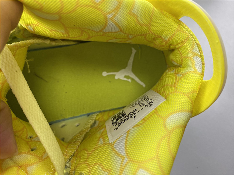 Air Jordan 6 GS Floral Dynamic Yellow 543390-800