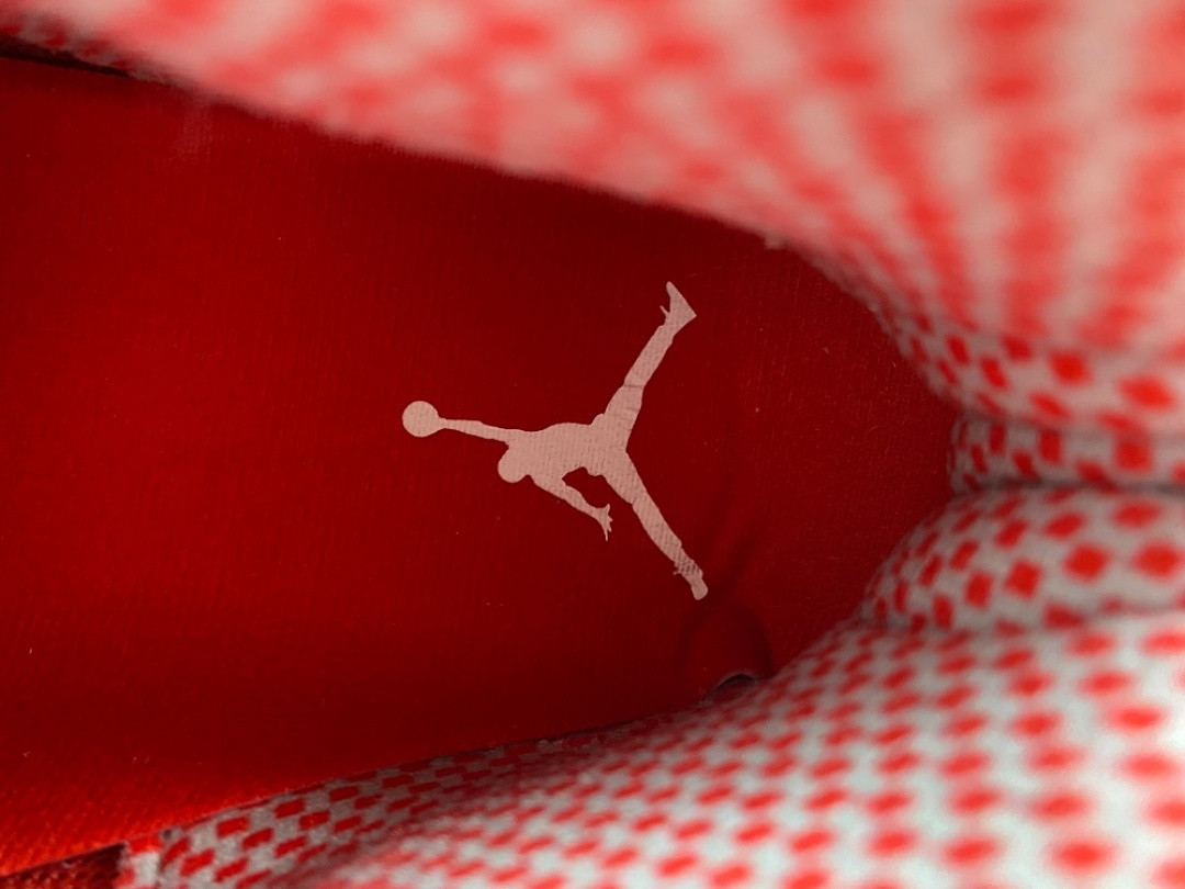 Air Jordan 10 Retro Red Steel 310805-161