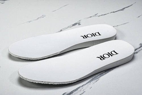 B23 OBLIQUE LOW SNEAKERS