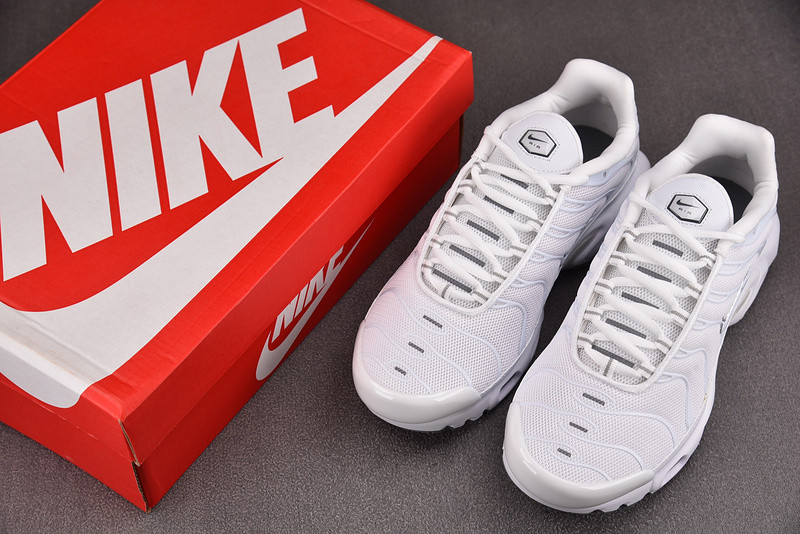 Nike Air Max Plus