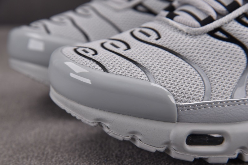 Nike Air Max Plus TN