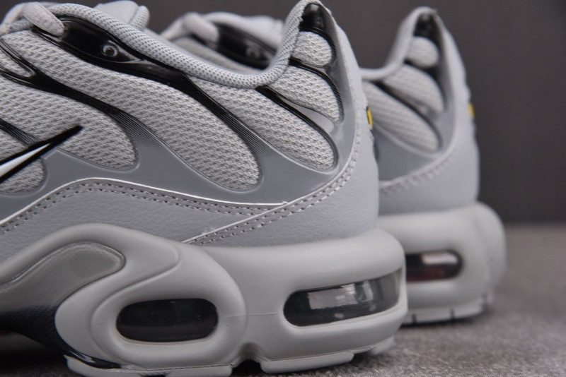Nike Air Max Plus TN