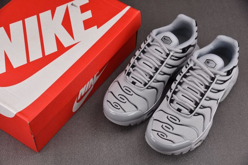Nike Air Max Plus TN