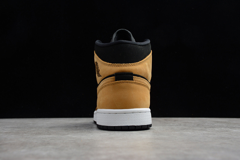 Air Jordan 1 MID SE AJ1 DB5453-700