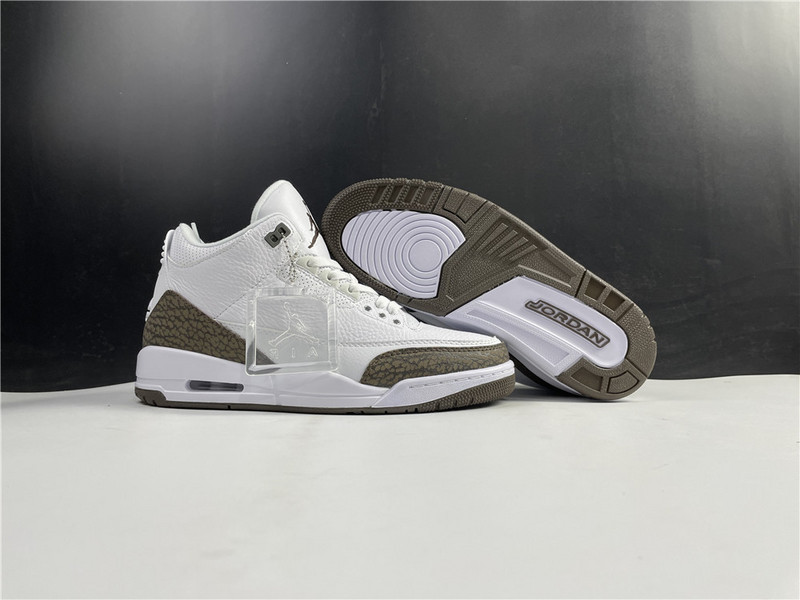Air Jordan 3 “Mocha” 2018 Retro 136064-122