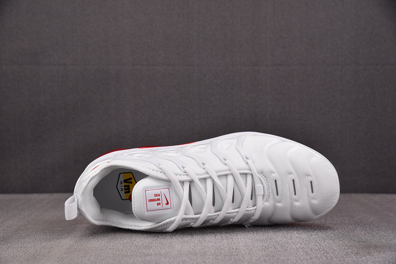 Air VaporMax Plus