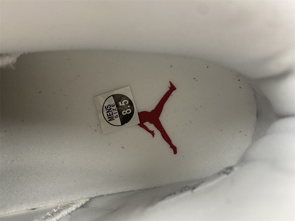 Air Jordan 6 Red Oreo CT8529-162