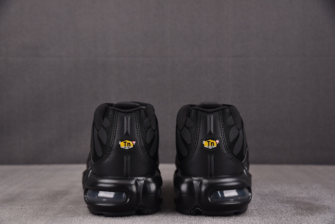 Nike Air Max Plus TN