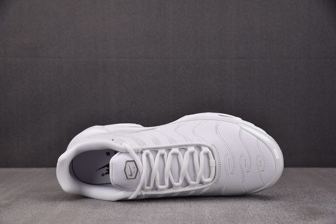 Nike Air Max Plus TN
