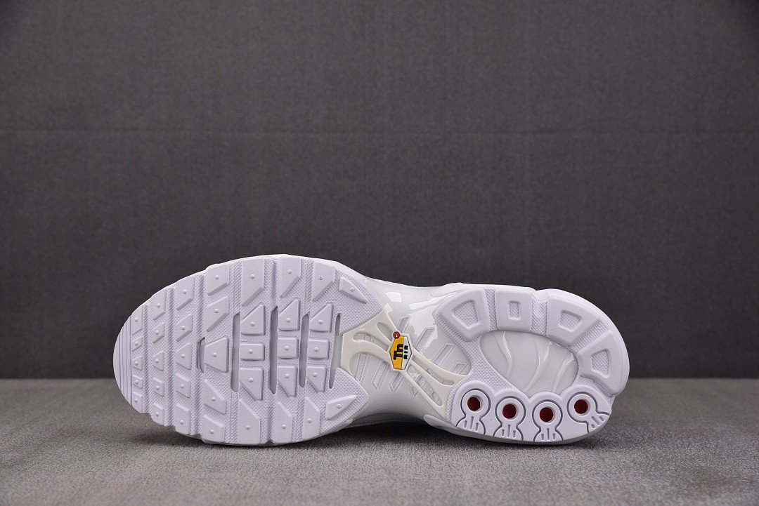 Nike Air Max Plus TN