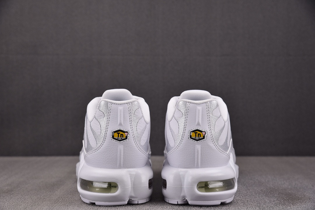 Nike Air Max Plus TN