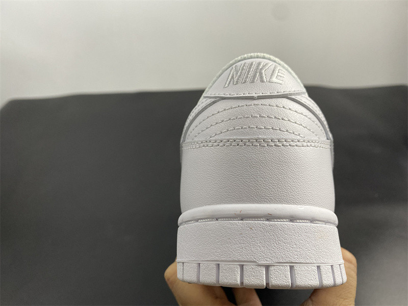 NIKE SB DUNK LOW