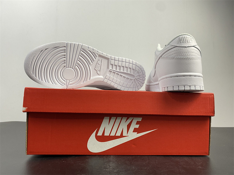 NIKE SB DUNK LOW