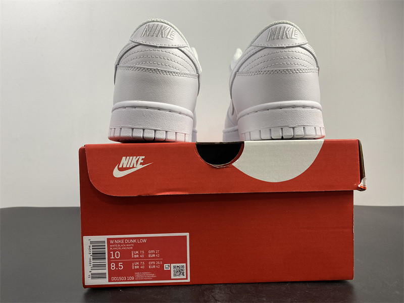 NIKE SB DUNK LOW