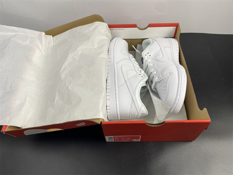 NIKE SB DUNK LOW