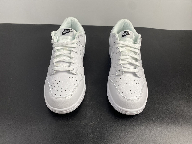 NIKE SB DUNK LOW