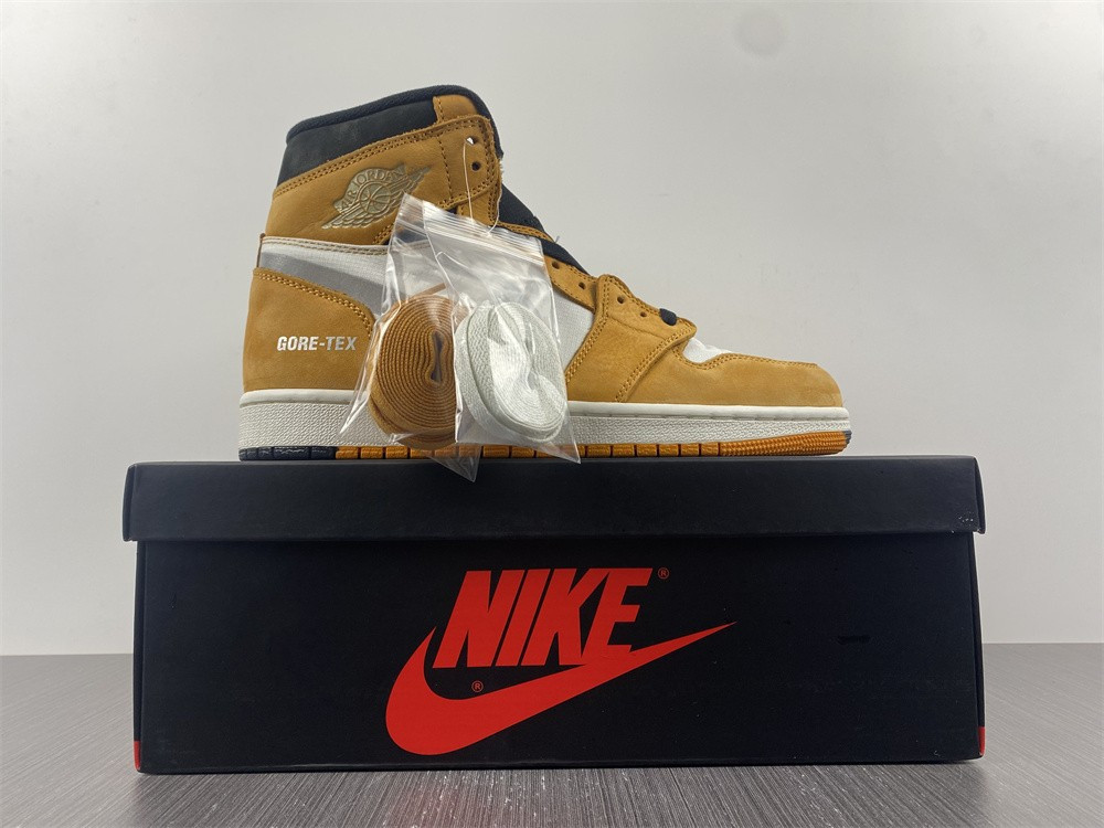 AIR JORDAN 1 HIGH ELEMENT GORE-TEX