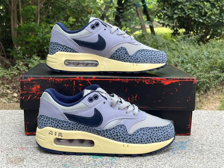 Nike Air Max 1