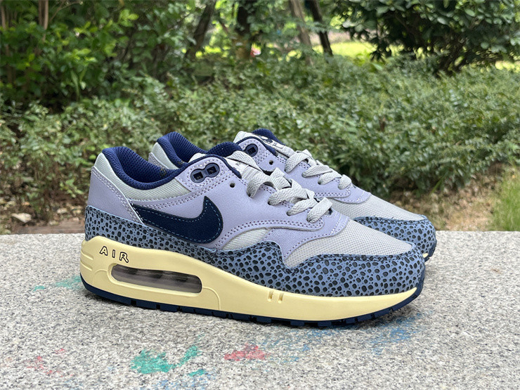 Nike Air Max 1