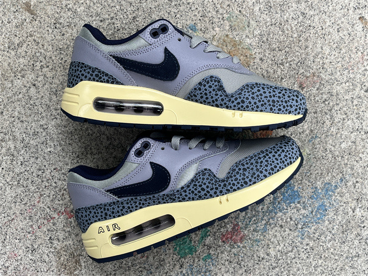 Nike Air Max 1