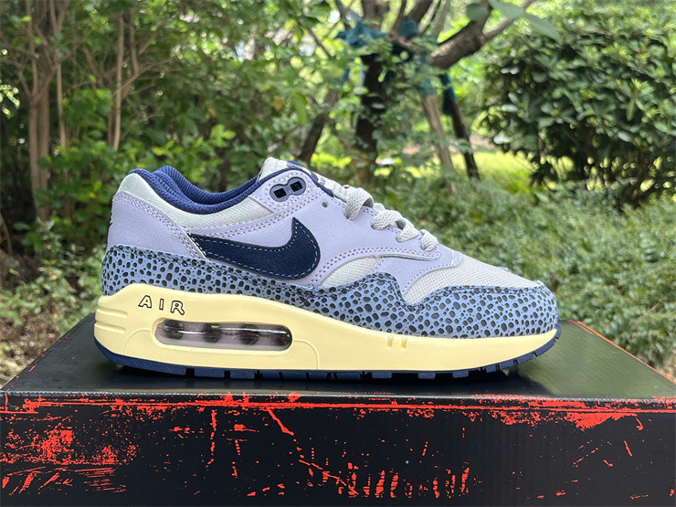Nike Air Max 1