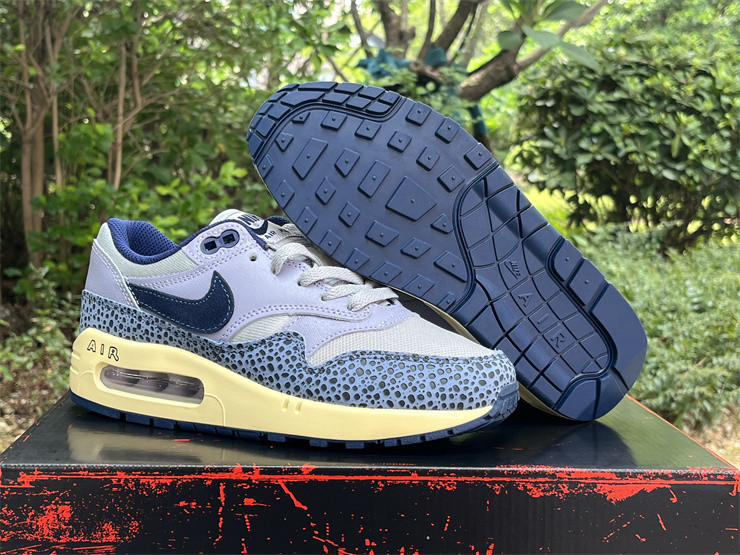 Nike Air Max 1