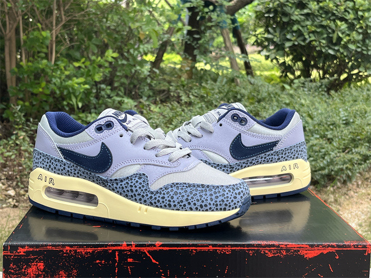 Nike Air Max 1