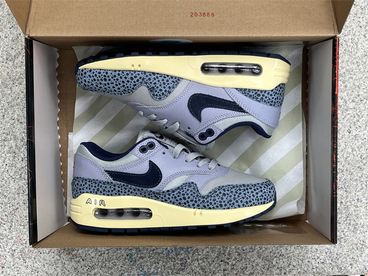 Nike Air Max 1