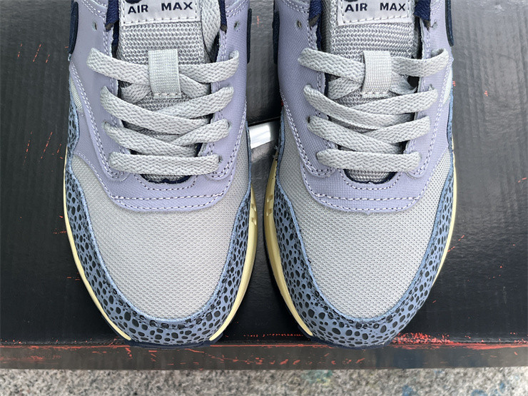 Nike Air Max 1