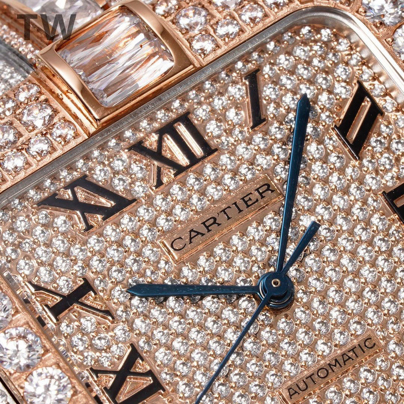 c-a-t-i-e-r watches