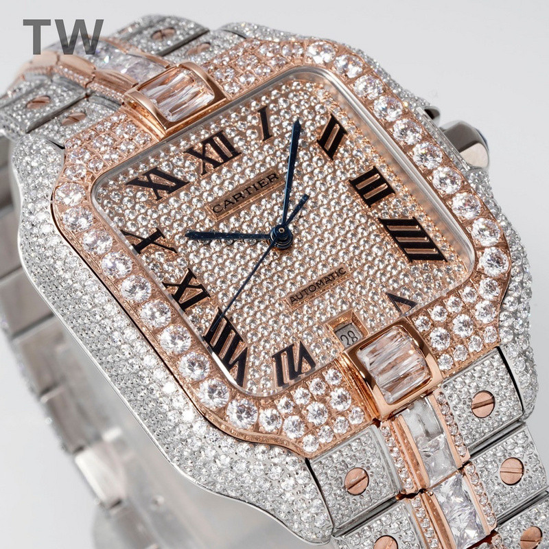 c-a-t-i-e-r watches