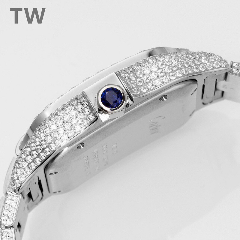 c-a-t-i-e-r watches