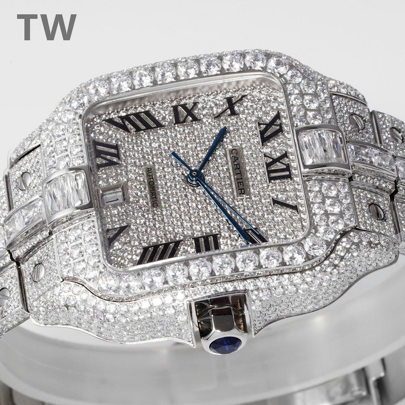 c-a-t-i-e-r watches