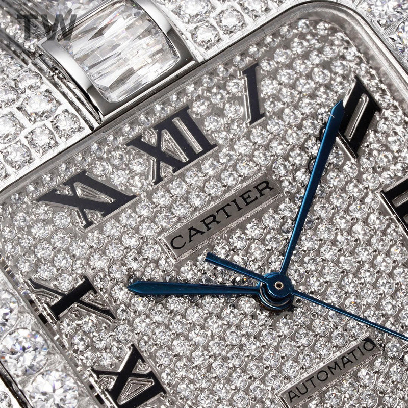 c-a-t-i-e-r watches