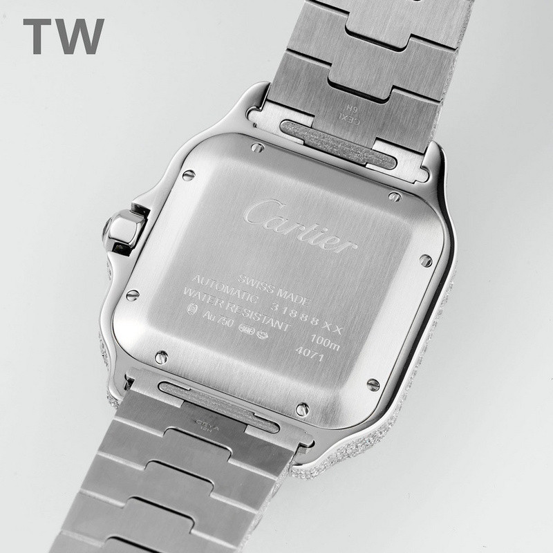 c-a-t-i-e-r watches