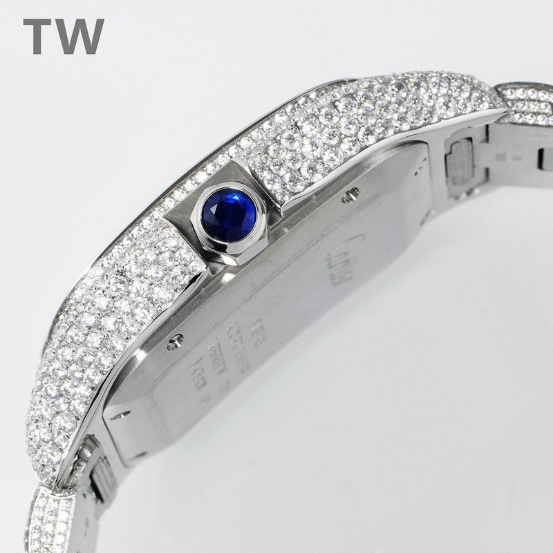 c-a-t-i-e-r watches