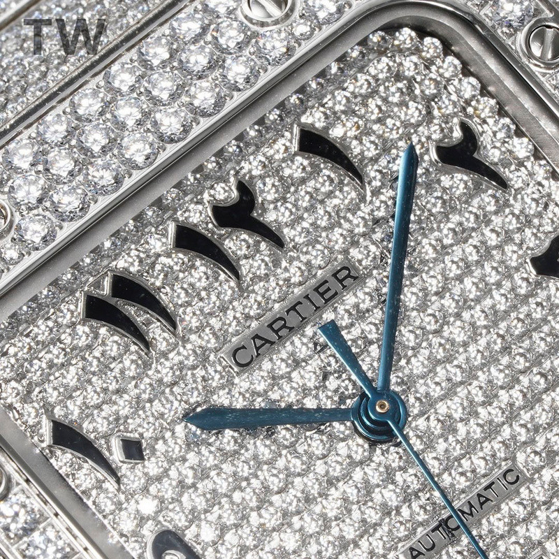 c-a-t-i-e-r watches