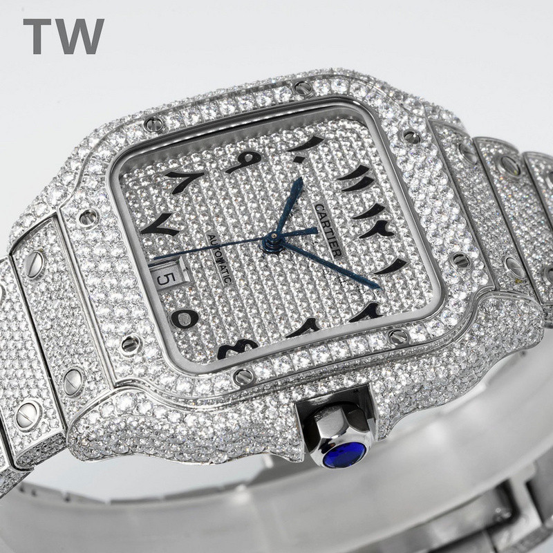 c-a-t-i-e-r watches