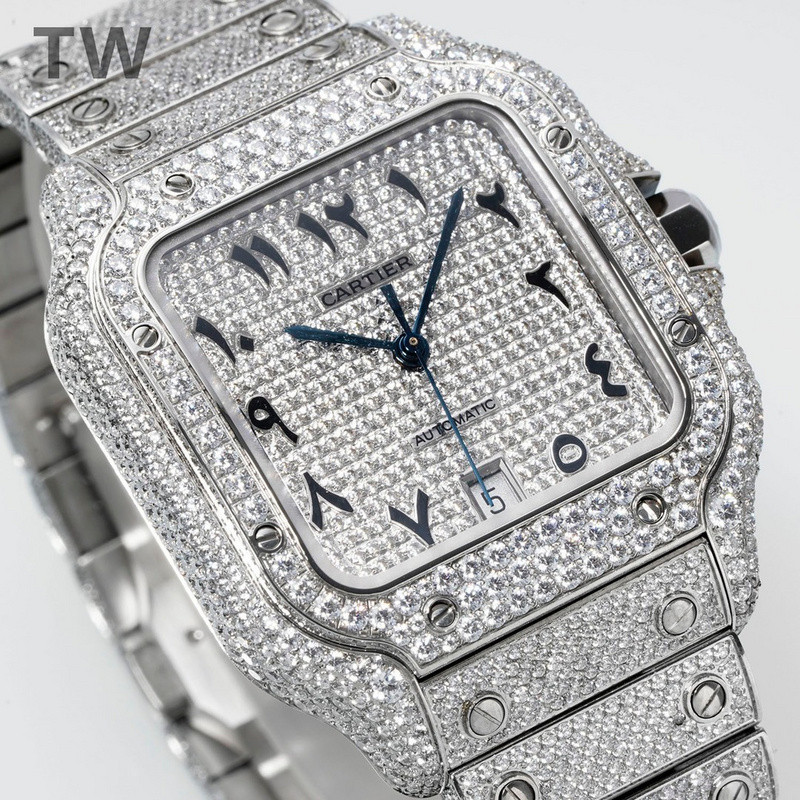 c-a-t-i-e-r watches