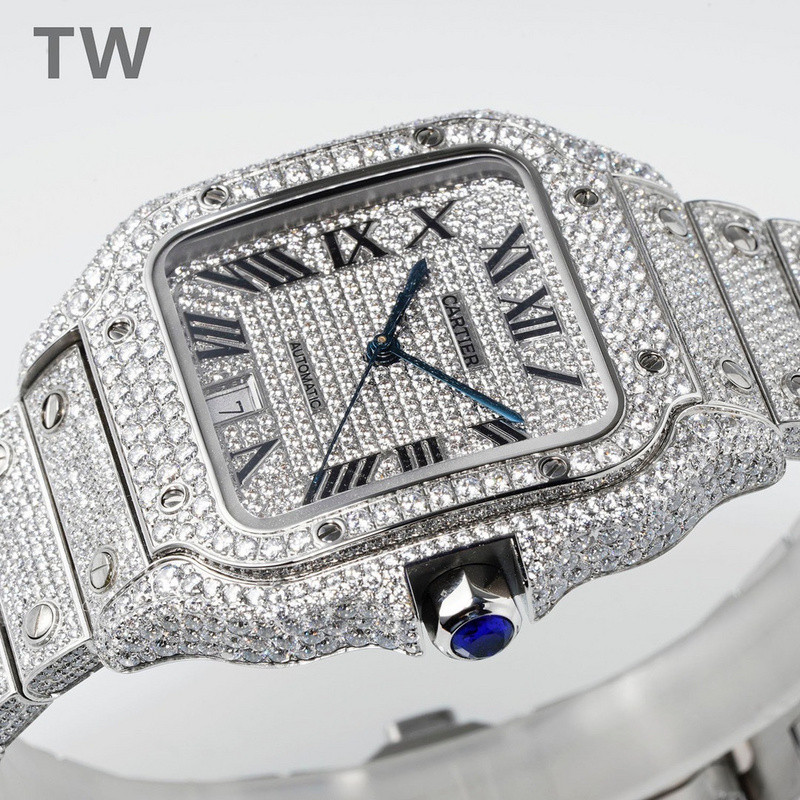 c-a-t-i-e-r watches