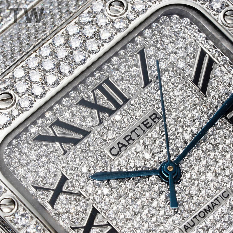 c-a-t-i-e-r watches