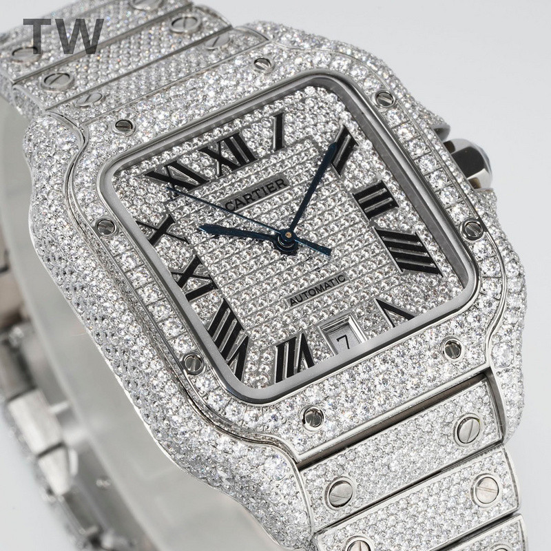 c-a-t-i-e-r watches
