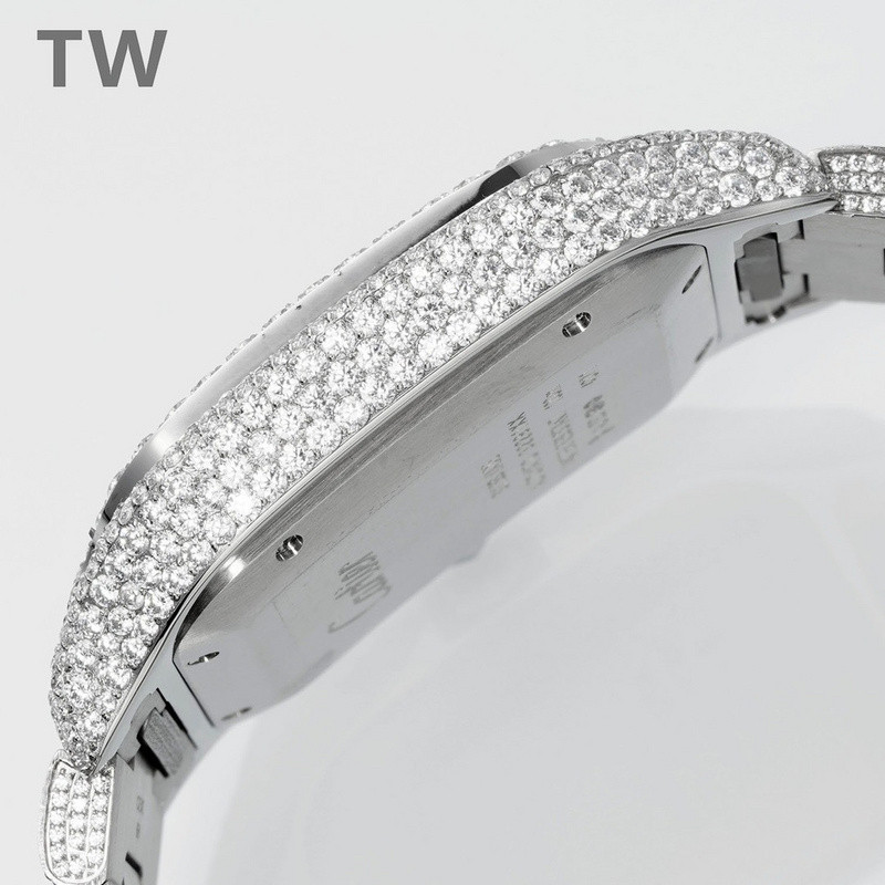 c-a-t-i-e-r watches