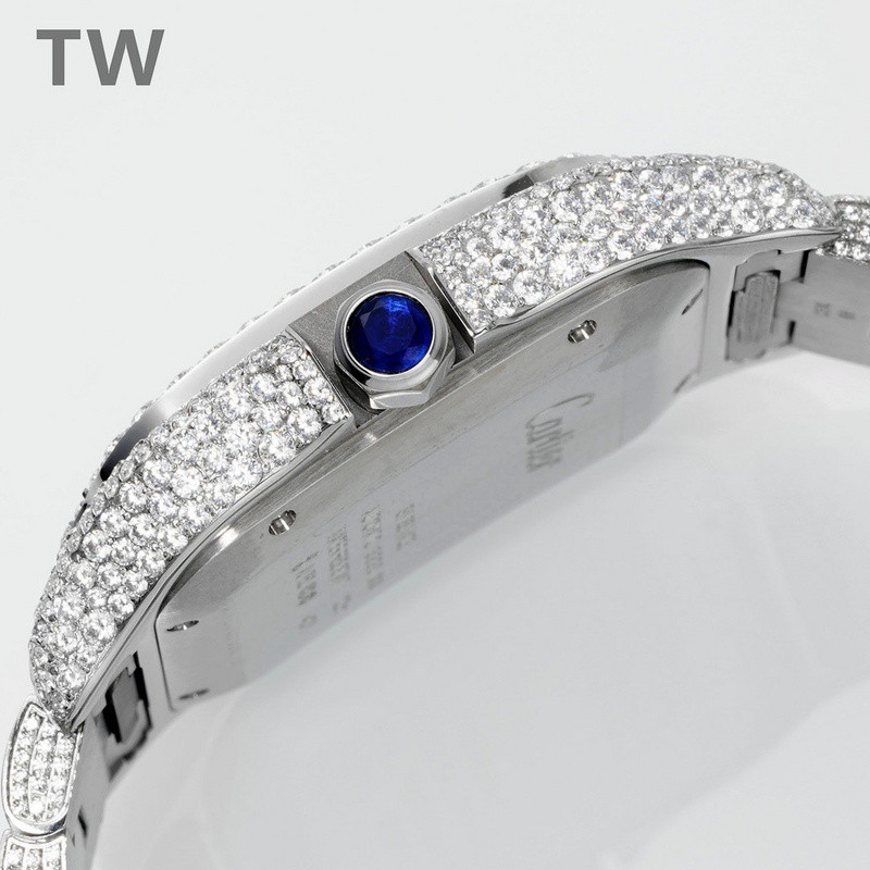 c-a-t-i-e-r watches