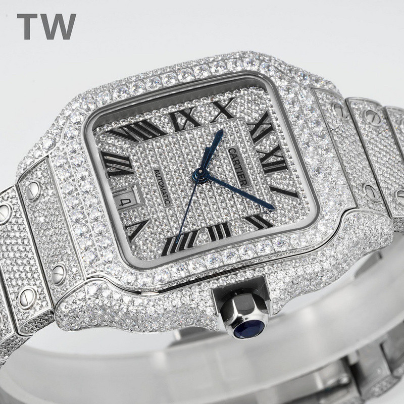 c-a-t-i-e-r watches