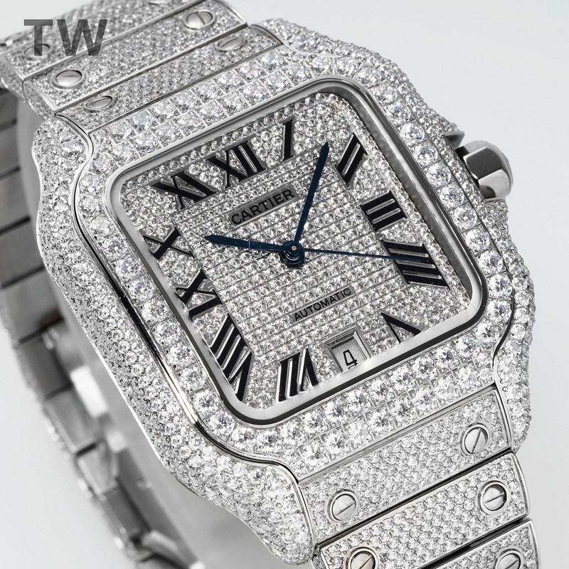 c-a-t-i-e-r watches