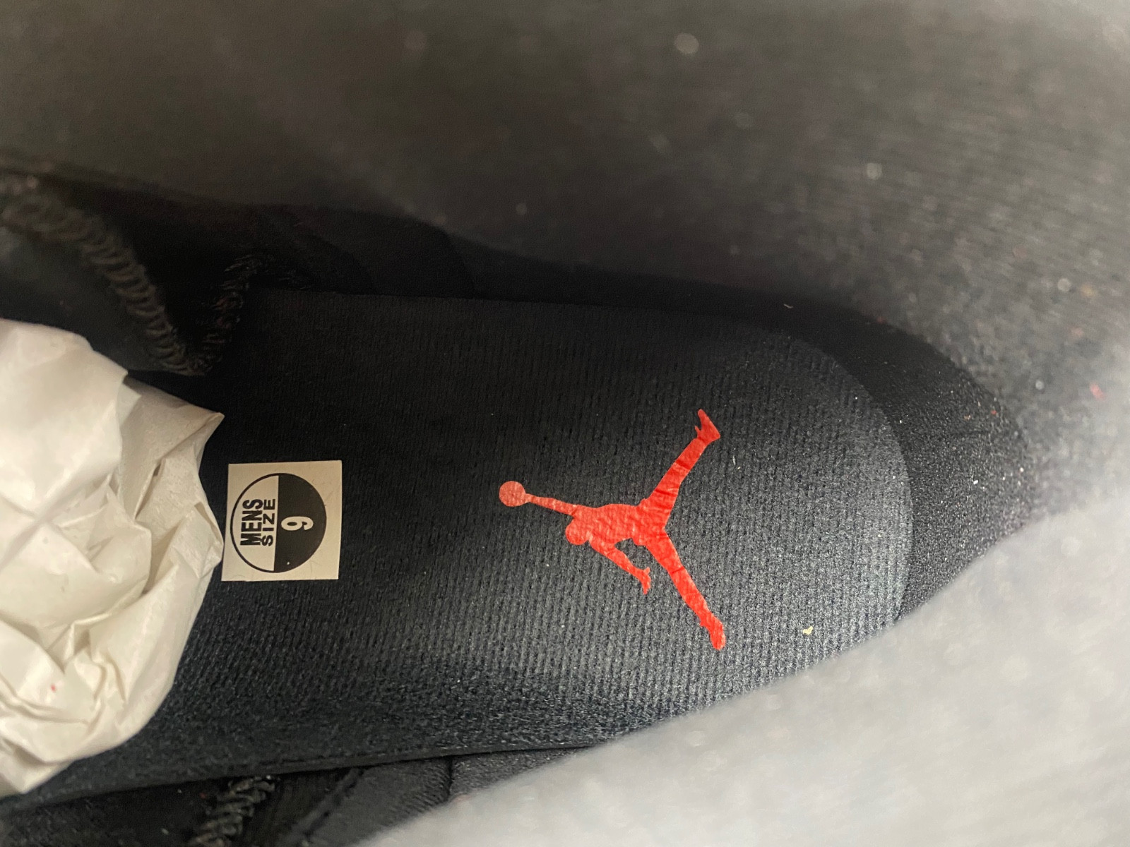 Air Jordan 12 Retro