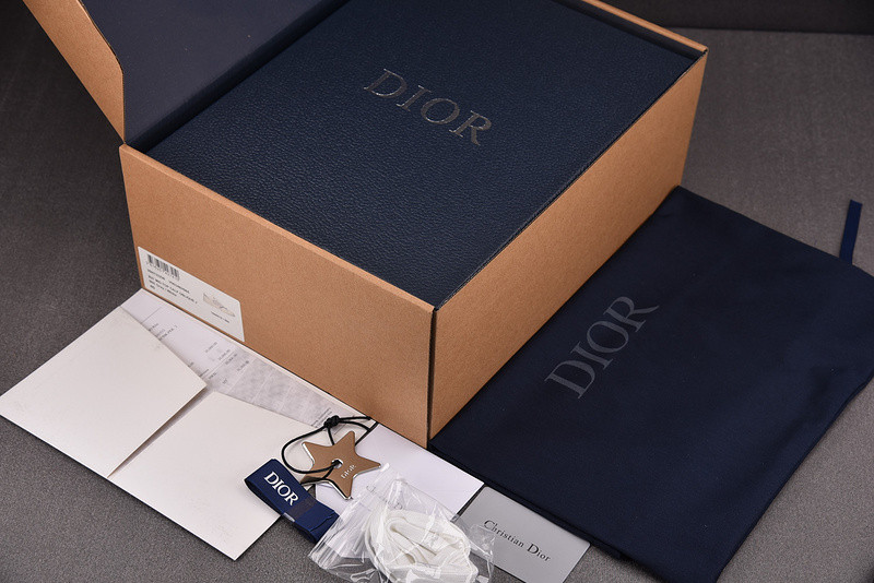 DIOR SNEAKERS