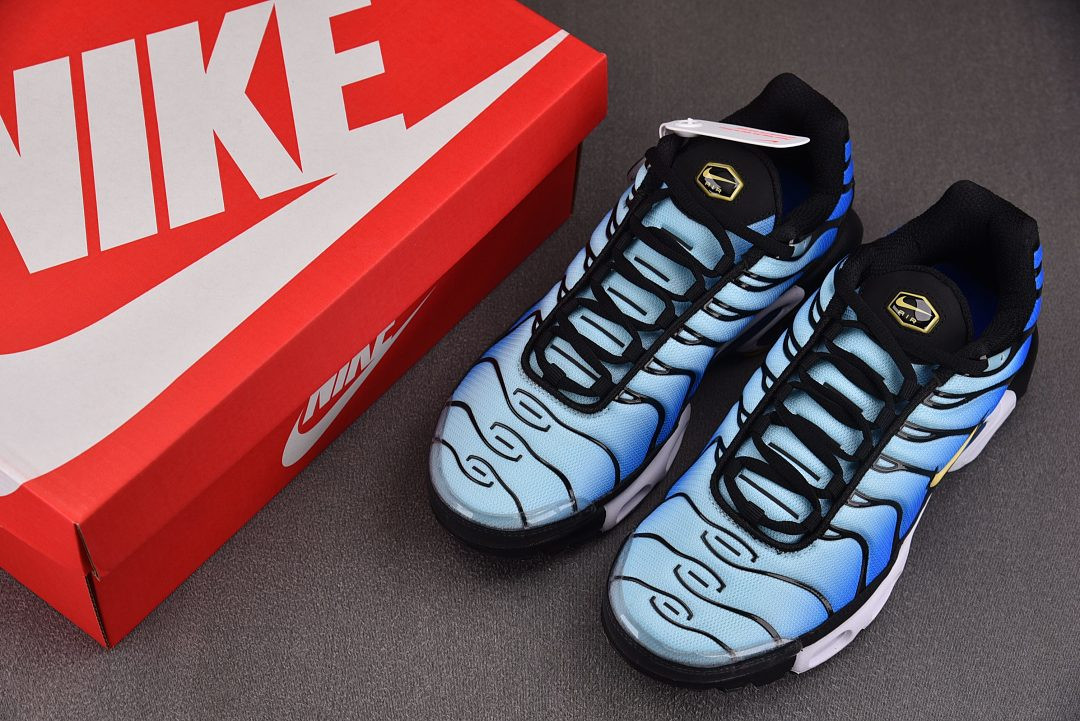 Nike Air Max Plus OG Hyper Blue | DX0755-001