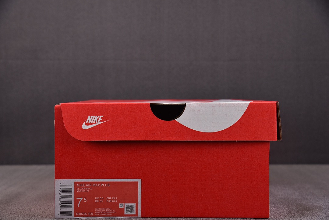Nike Air Max Plus OG "Voltage Purple" DX0755-500